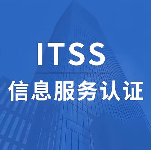 2025年ITSS信息技术服务标准办理机构推荐 五大可靠的咨询机构